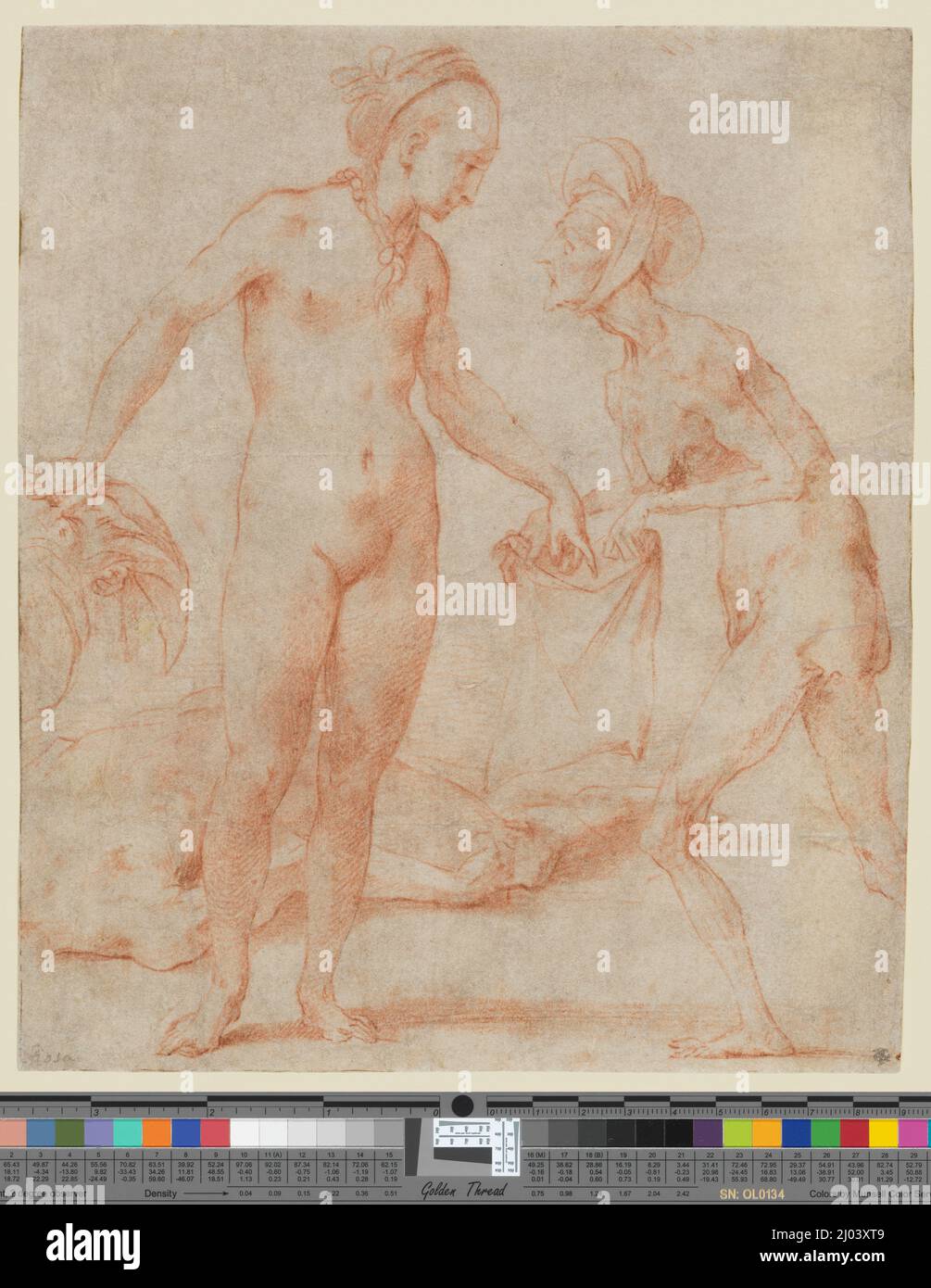 Judith avec le chef de Holofernes. Rosso Fiorentino Giovanni Battista di Jacopo (Italie, Florence, 1494-1540). Italie, vers 1535-1540. Mises en plan. Craie rouge sur du papier à polir gris Banque D'Images