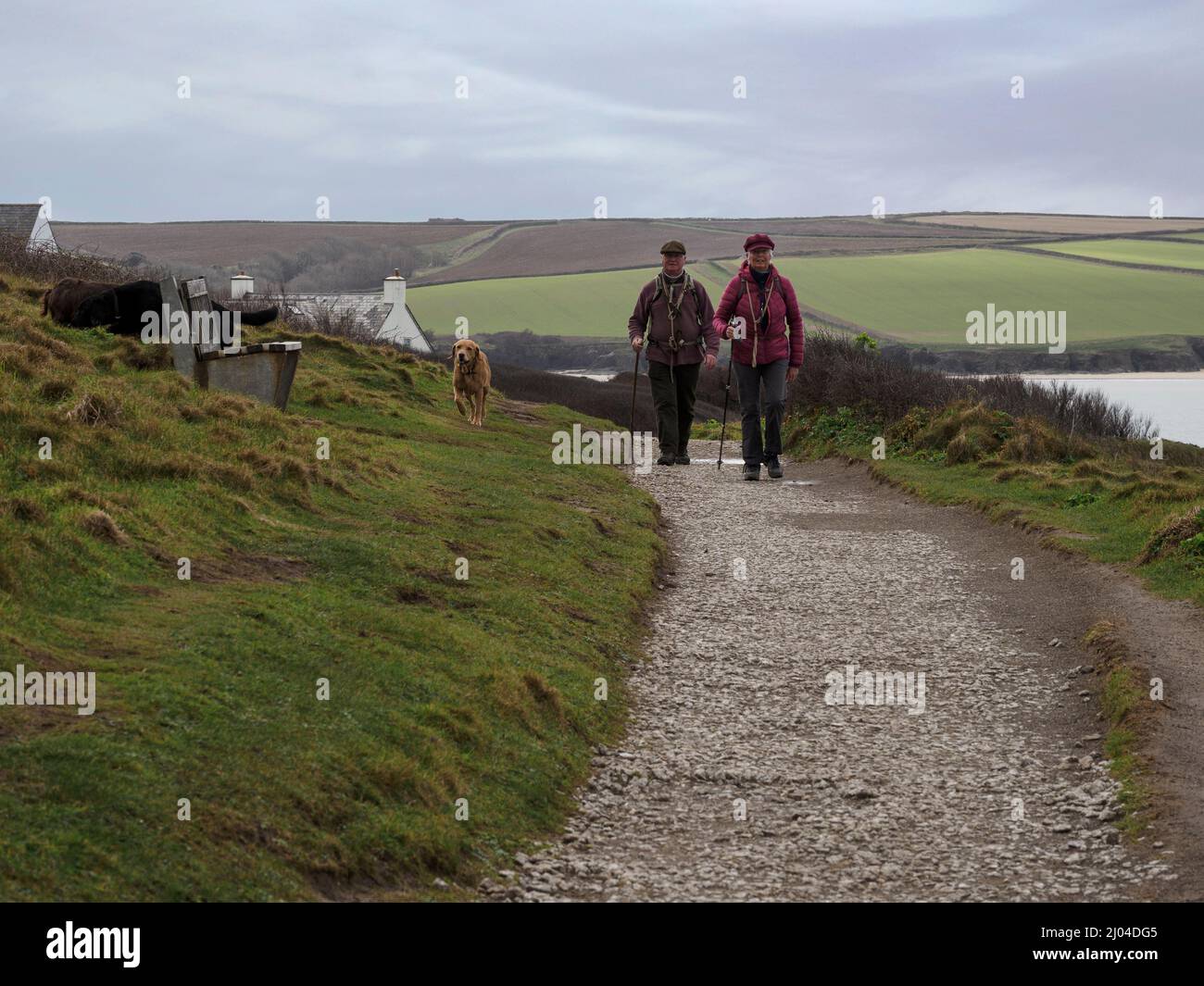Couple d'âge mûr marchant le long du sentier de la côte sud-ouest de Daymer Bay à Polzeath, Cornwall, Royaume-Uni Banque D'Images