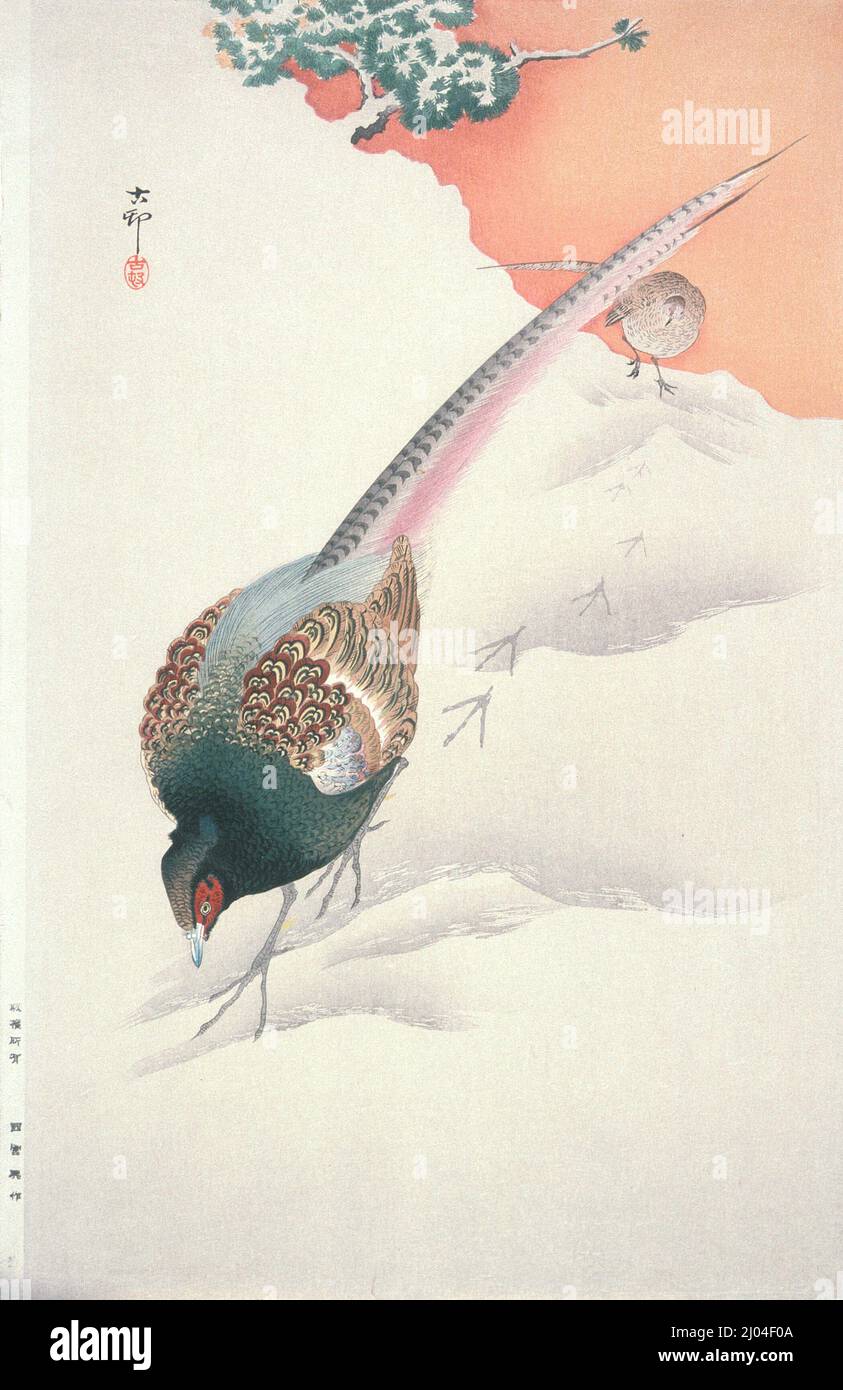 Paire de faisans dans la neige. Ohara Shōson (Japon, 1877-1945). Japon, début du 20th siècle. Imprimés; blocs de bois. Imprimé color block Banque D'Images