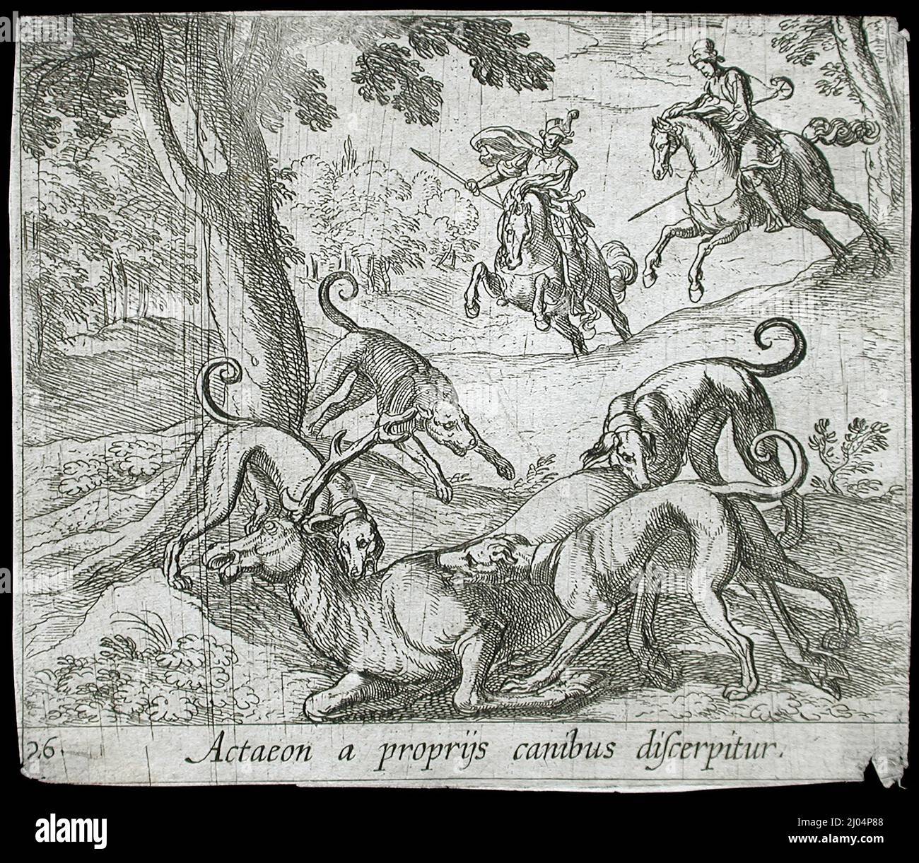 Actaeon tué par ses chiens. Antonio Tempesta (Italie, Florence, 1555-1630)Wilhelm Janson (pays-Bas, Amsterdam). Italie, publié en 1606. Tirages ; gravures. Gravure Banque D'Images