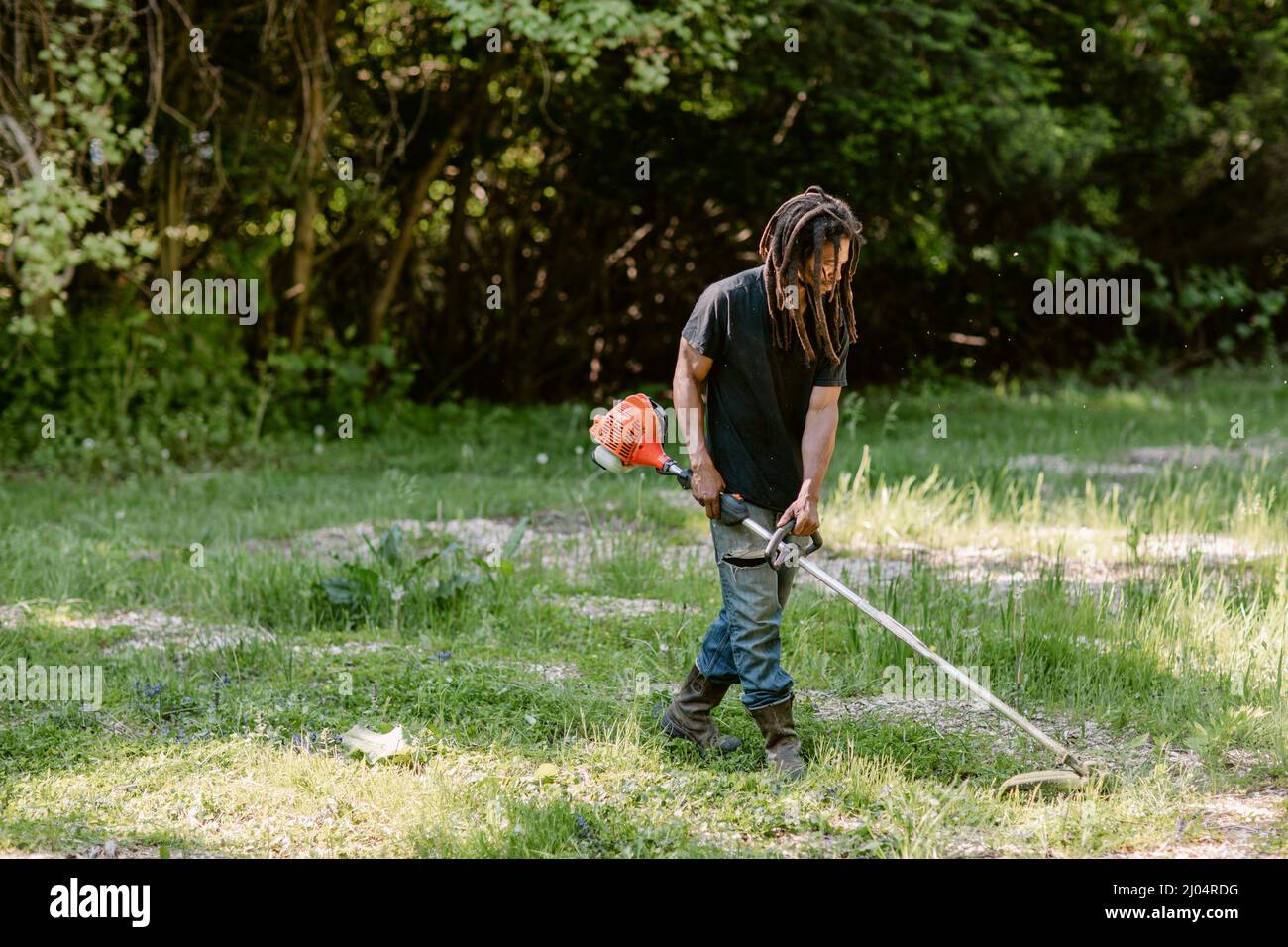 Homme noir avec des dreadlocks utilisant une mauvaise wacker sur sa ferme Banque D'Images