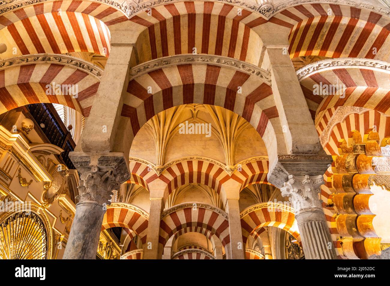 Maurische Säulen und Bögen im Innenraum der Mezquita - Catedral de Córdoba à Cordoue, Andalusien, Espagnol | arches et colonnes mauresques de la Mezqu Banque D'Images