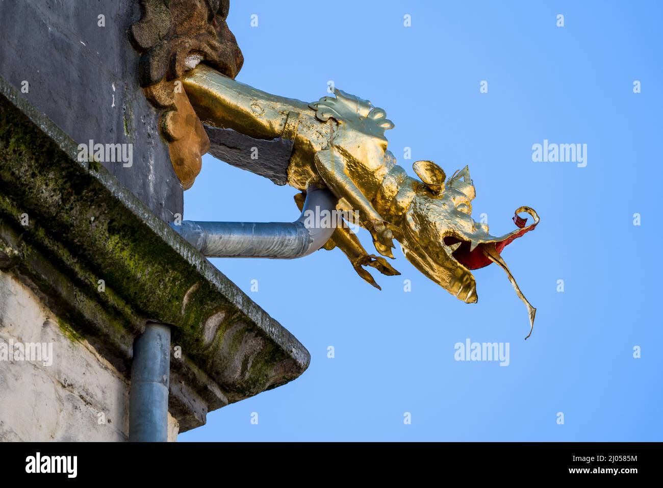 Gargouille à tête de dragon de la mairie, Hannoversch Münden, Basse-Saxe, Allemagne, Europe Banque D'Images
