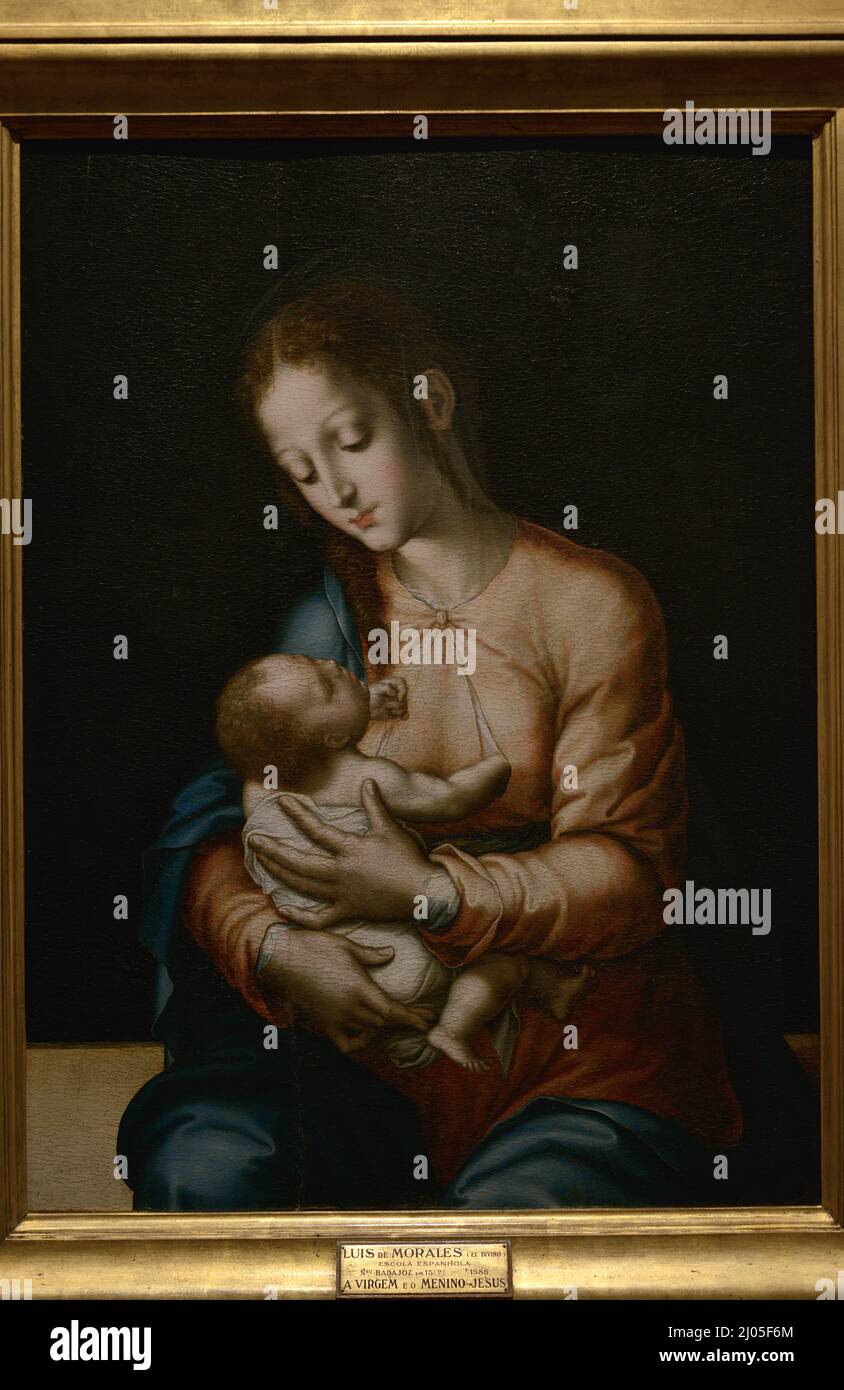 Luis de Morales (c. 1510-1586). Peintre espagnol. « Vierge à l'enfant ». Huile sur panneau, 1560-1570. Musée national d'Art ancien Lisbonne, Portugal. Banque D'Images