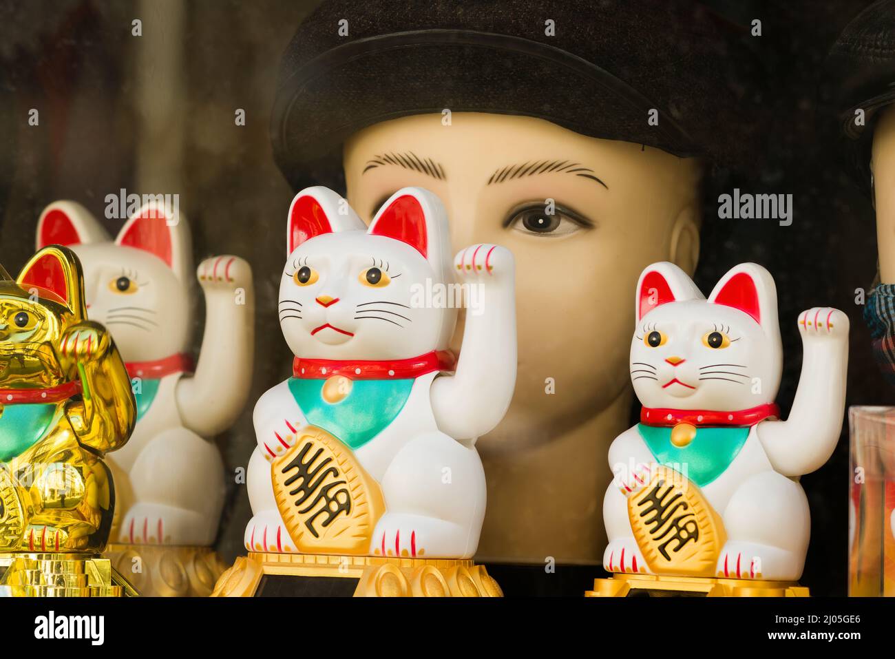 Maneki-nekos, fenêtre d'affichage, Allemagne Banque D'Images