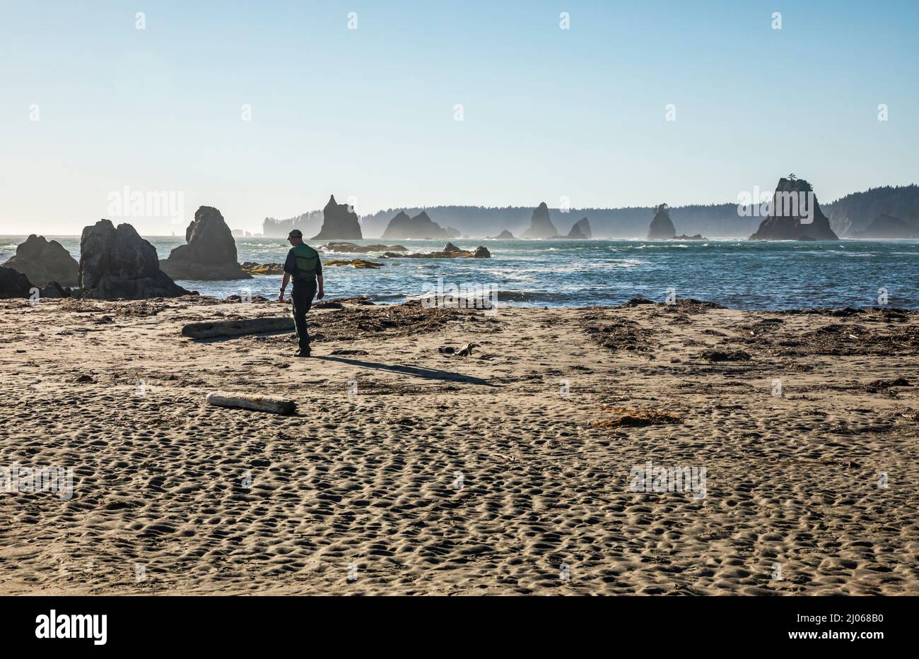 Un homme marche sur la plage à Toleak point en regardant vers le nord - la côte olympique de Washington et le sanctuaire marin. Banque D'Images