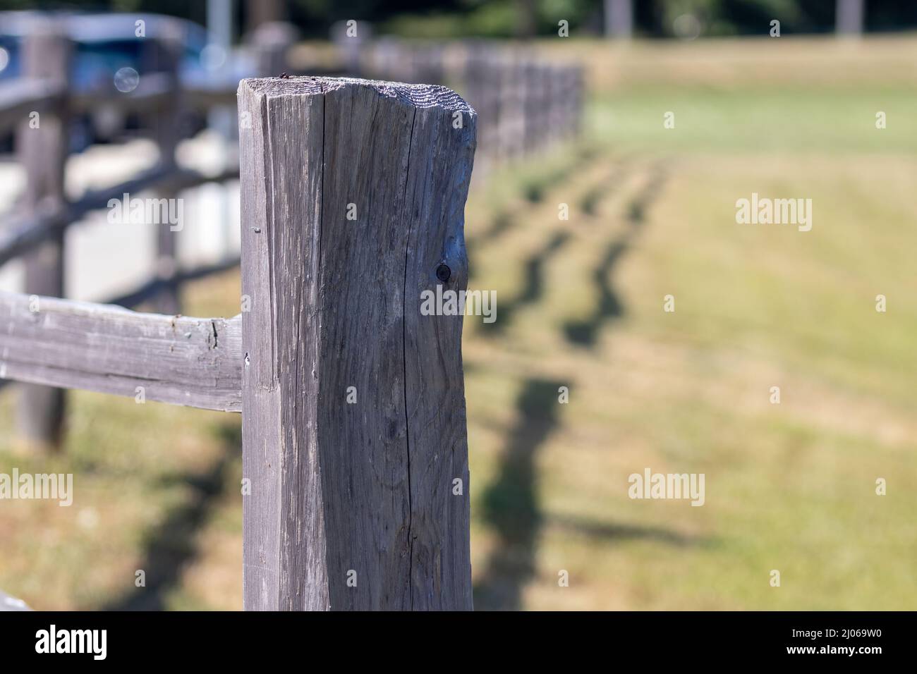 poste de clôture en bois de campagne le long du champ vert Banque D'Images