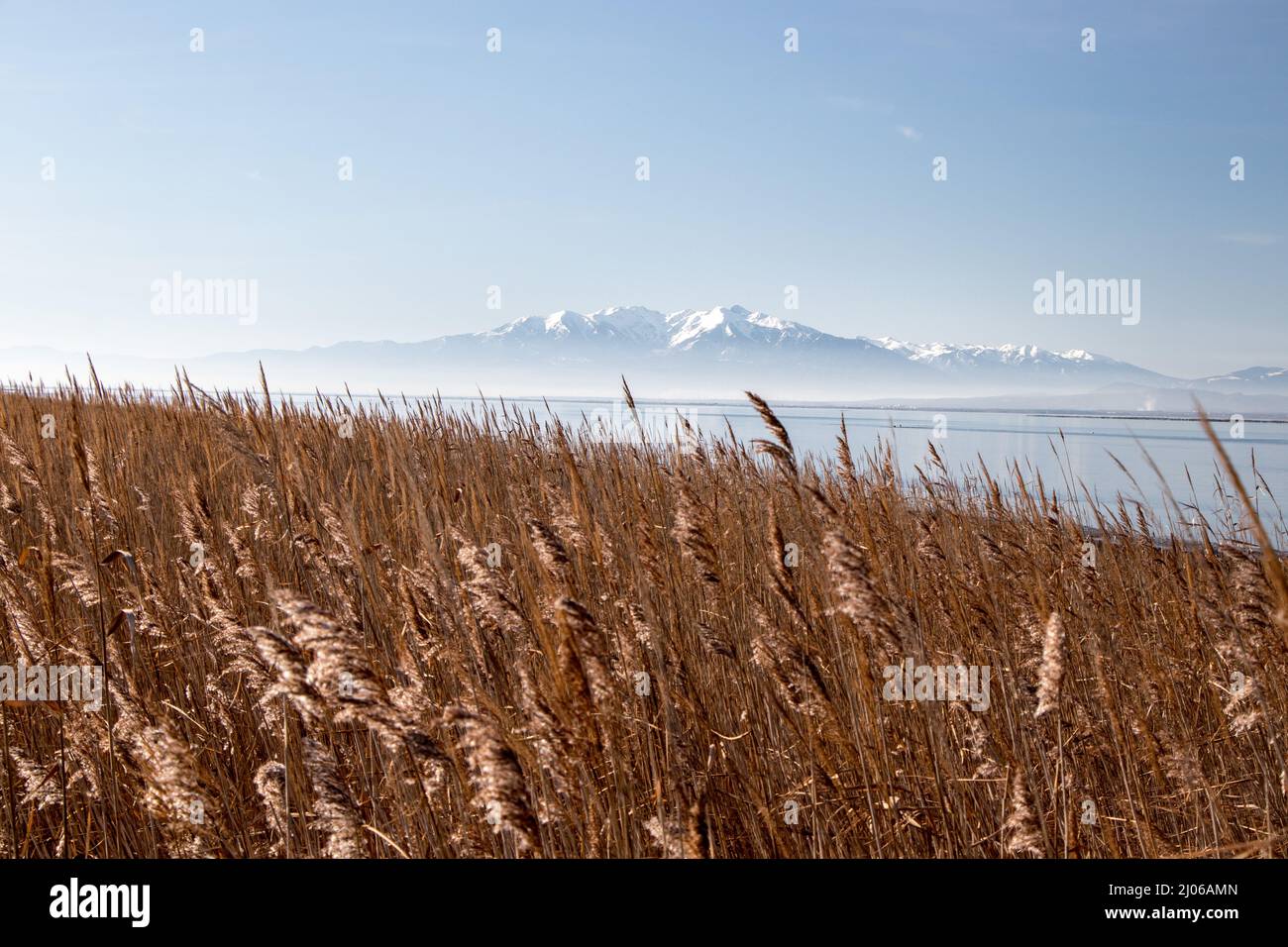 Le mont Canigou sur l'étang de Salses ou Leucate Banque D'Images