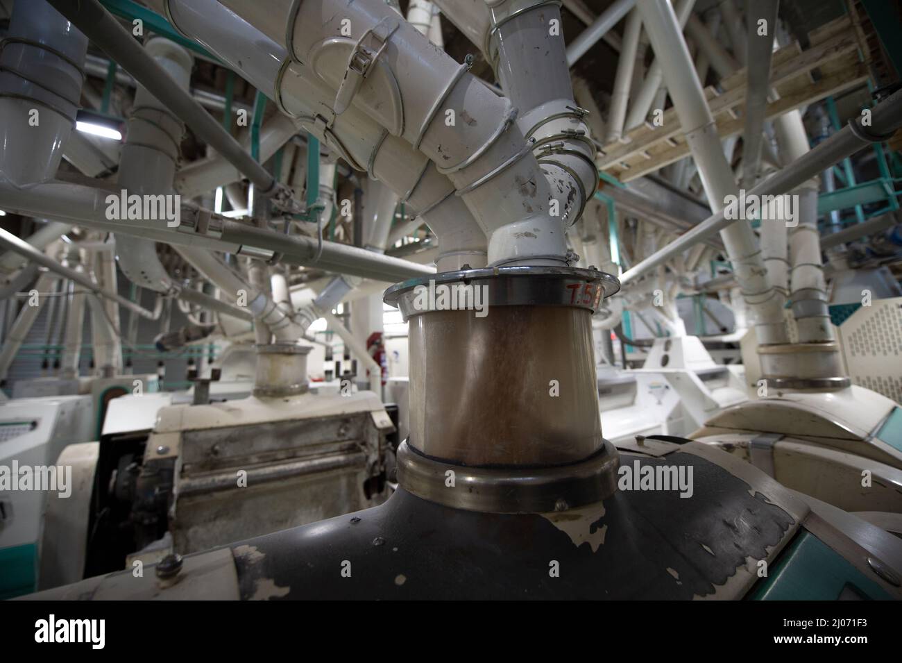 Balcarce, Argentine. 12th mars 2022. Les grains de blé sont transformés par une laminoir à rouleaux dans une usine industrielle. La 'Balcarce Mill' a 22 millions de kilos de blé en stock et enregistre une mouture moyenne de 170 tonnes par jour. « La situation est difficile pour le moment en raison de la crise en Ukraine », déclare Perez Mesa, le directeur de l'usine. « Les fluctuations de prix tout au long de la journée sont très élevées. Ainsi, les producteurs de blé attendent parce qu'ils n'ont pas besoin de vendre. Par conséquent, certaines autres moulins n'ont pas de blé. » Credit: Florencia Martin/dpa/Alay Live News Banque D'Images