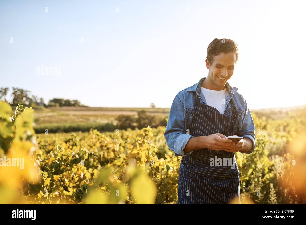 Les prévisions météorologiques semblent bonnes pour cette semaine. Photo d'un jeune homme tenant une caisse pleine de produits fraîchement cueillis sur une ferme. Banque D'Images