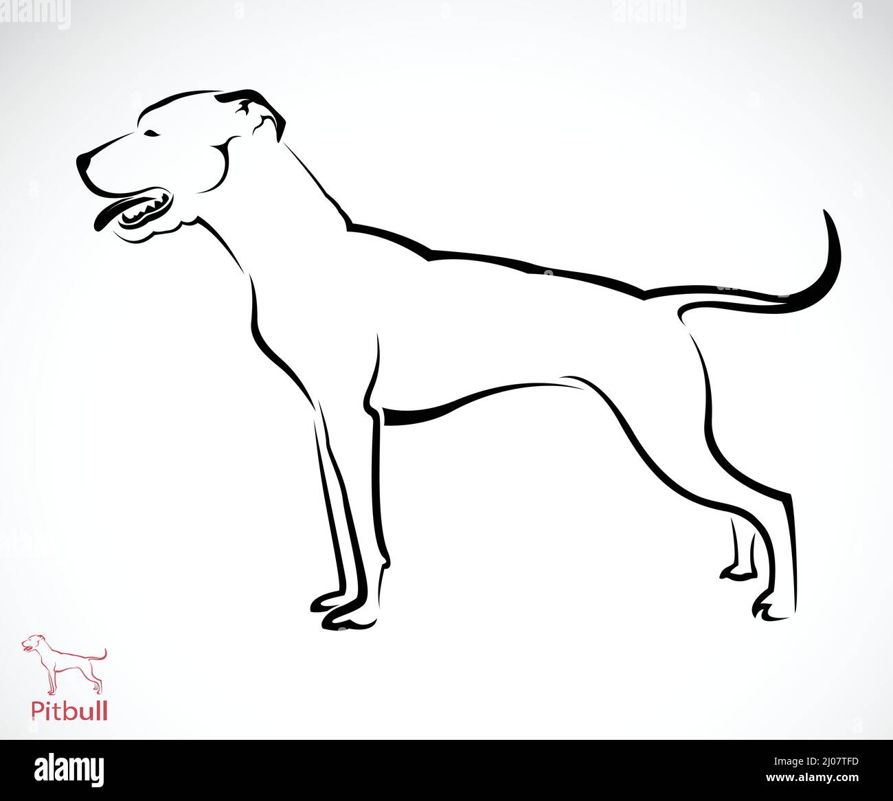 Image vectorielle du chien Pitbull sur fond blanc. Illustration vectorielle superposée facile à modifier. Illustration de Vecteur