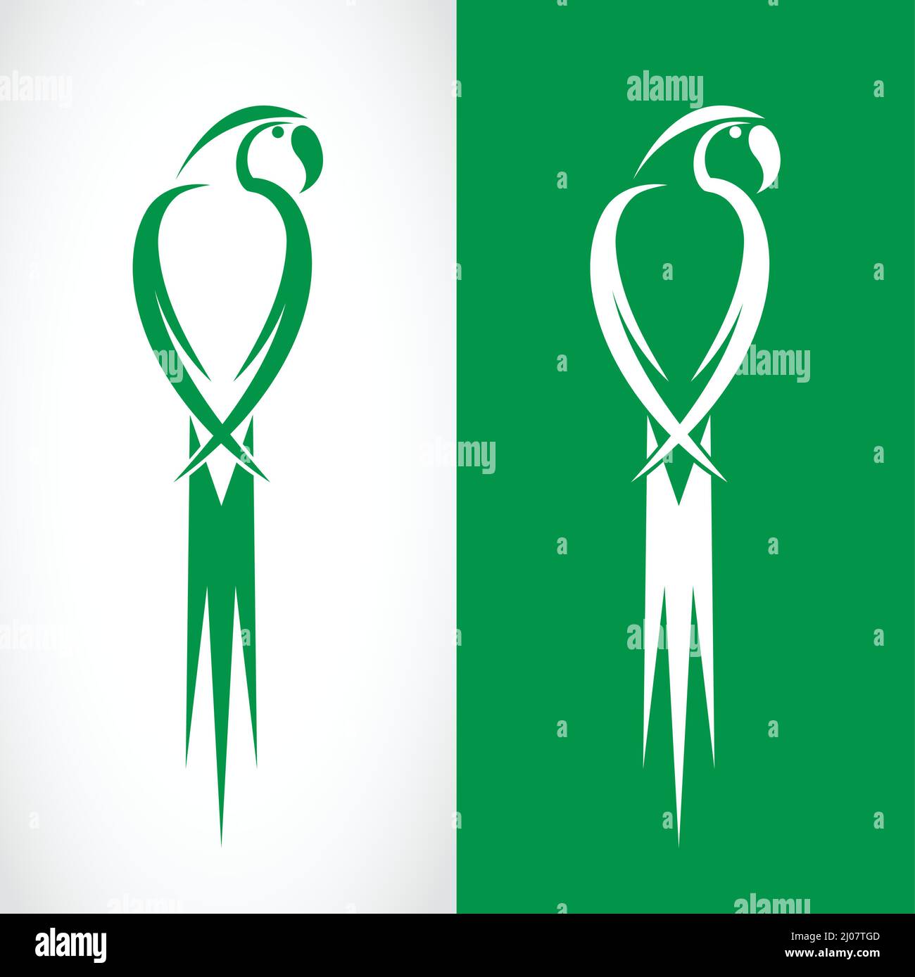 Image vectorielle du motif perroquet sur fond blanc et vert, logo, symbole. Illustration de Vecteur