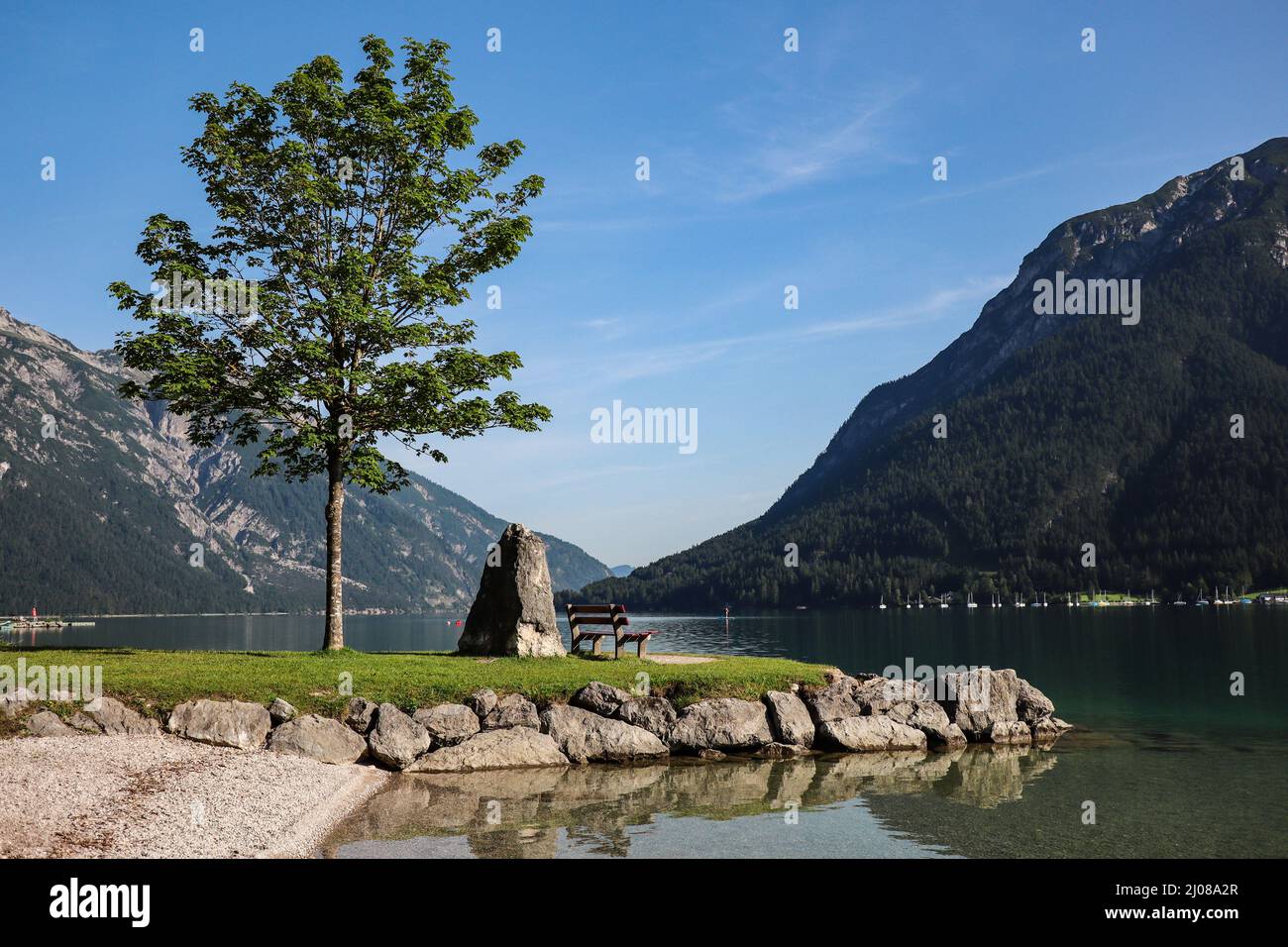 Vue du matin sur la rive du lac Achen avec un arbre et un banc en été. Achensee pendant une belle journée avec Blue Sky dans le Tyrol. Banque D'Images