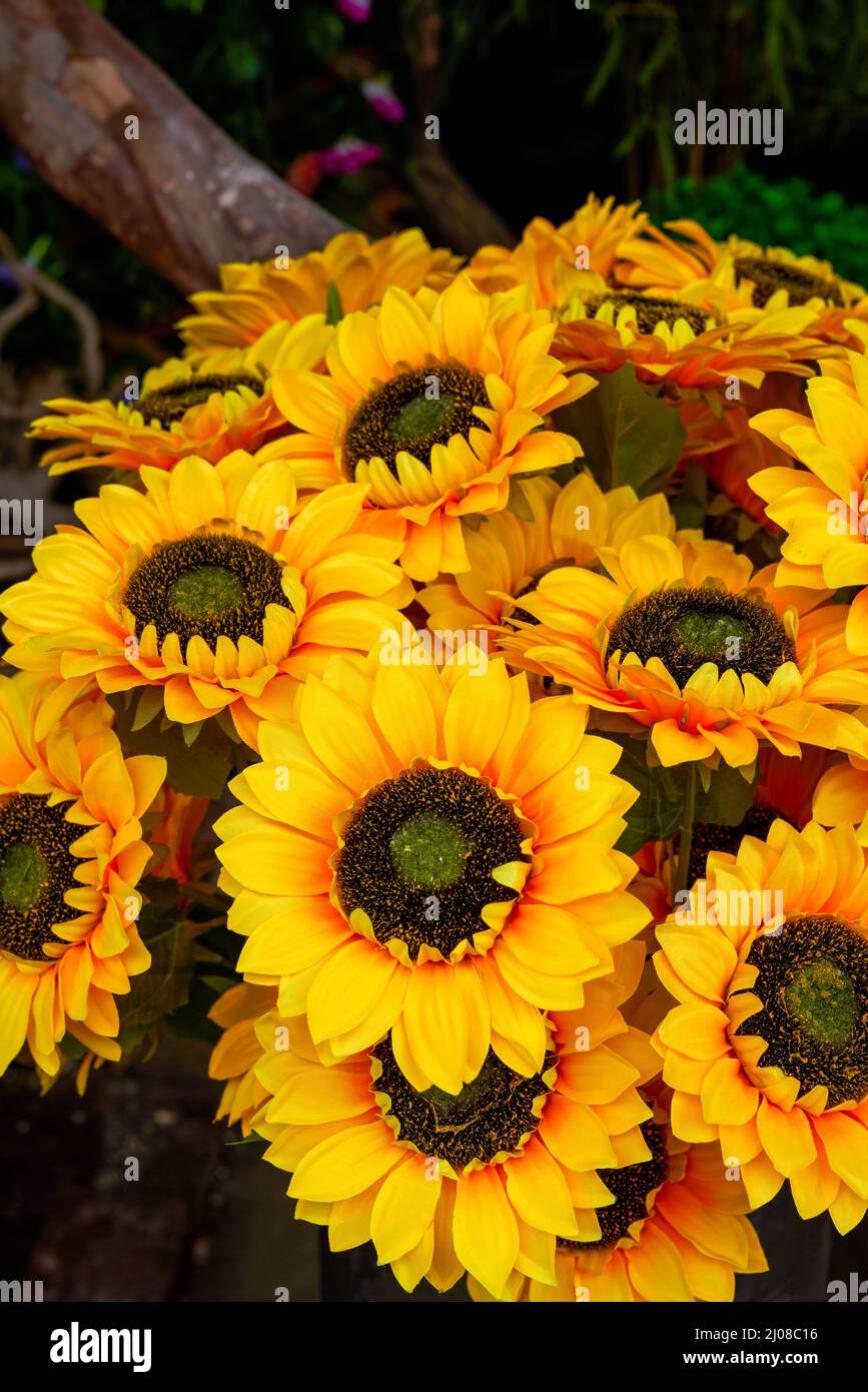 Un bouquet de grandes fleurs de tournesol fausses fleurs Banque D'Images