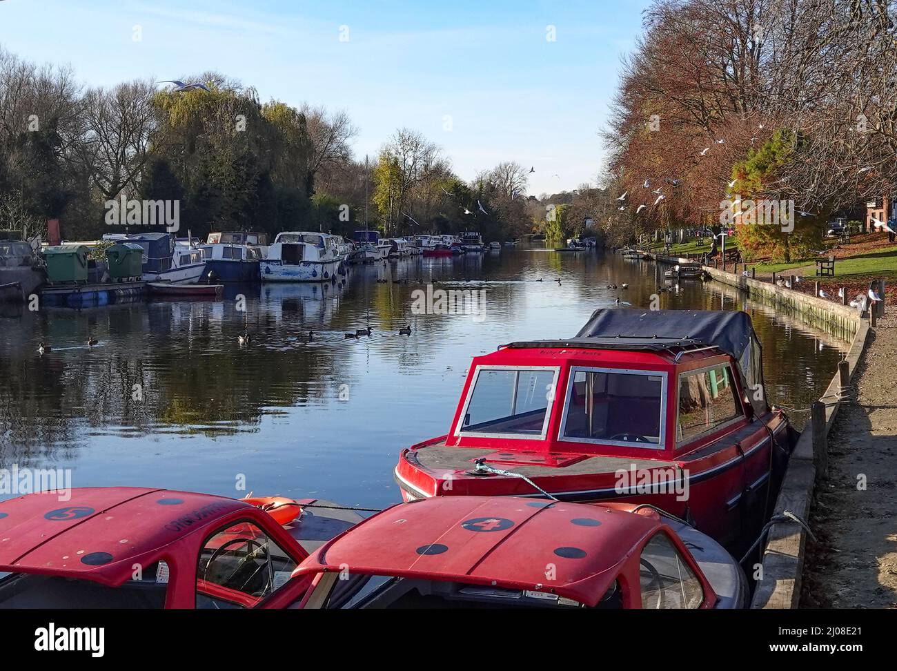 Location de bateaux à moteur sur la rivière Yare Norwich Banque D'Images