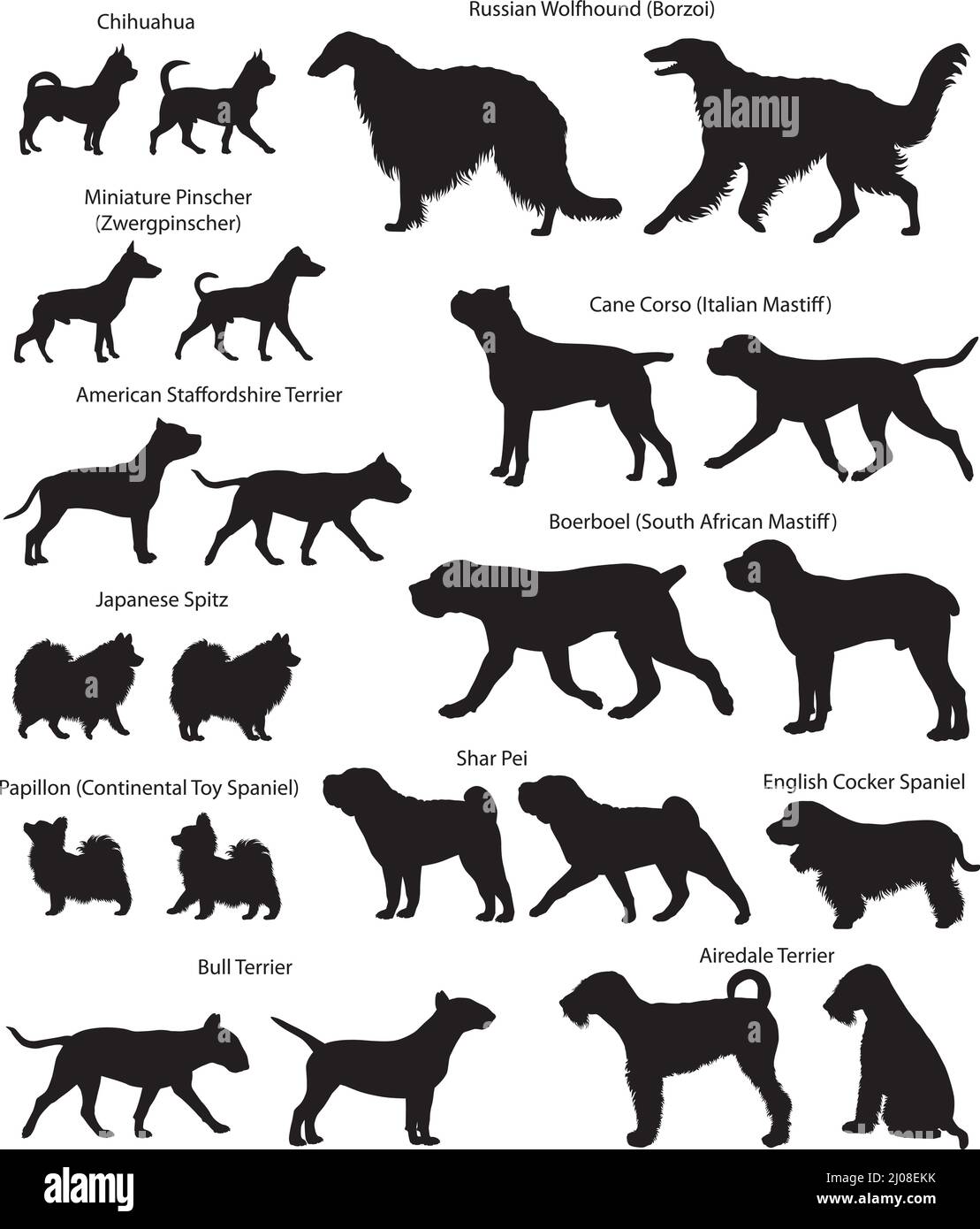 Collection de silhouettes de différentes races de chiens : amstaff, boerboel, papilon, chihuahua, sharpei, bull terrier, canne corso, pinscher Illustration de Vecteur