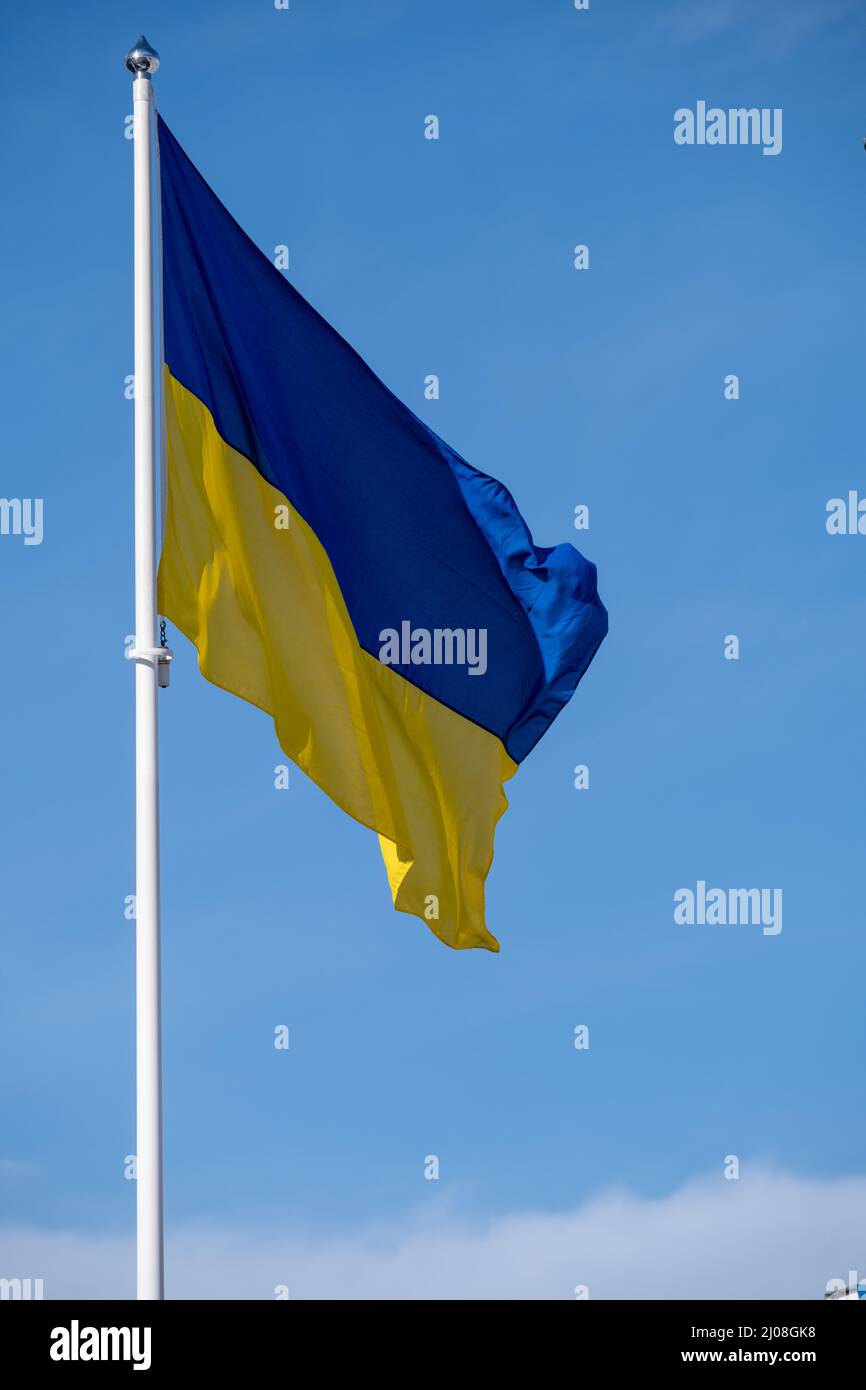 Helsinki / Finlande - 13 MARS 2022 : le drapeau ukrainien se dérobe dans le vent sur fond bleu vif Banque D'Images