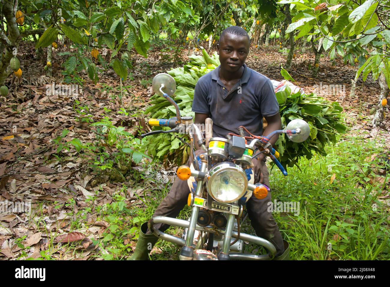 Travailleur agricole à moto, Côte d'Ivoire Banque D'Images