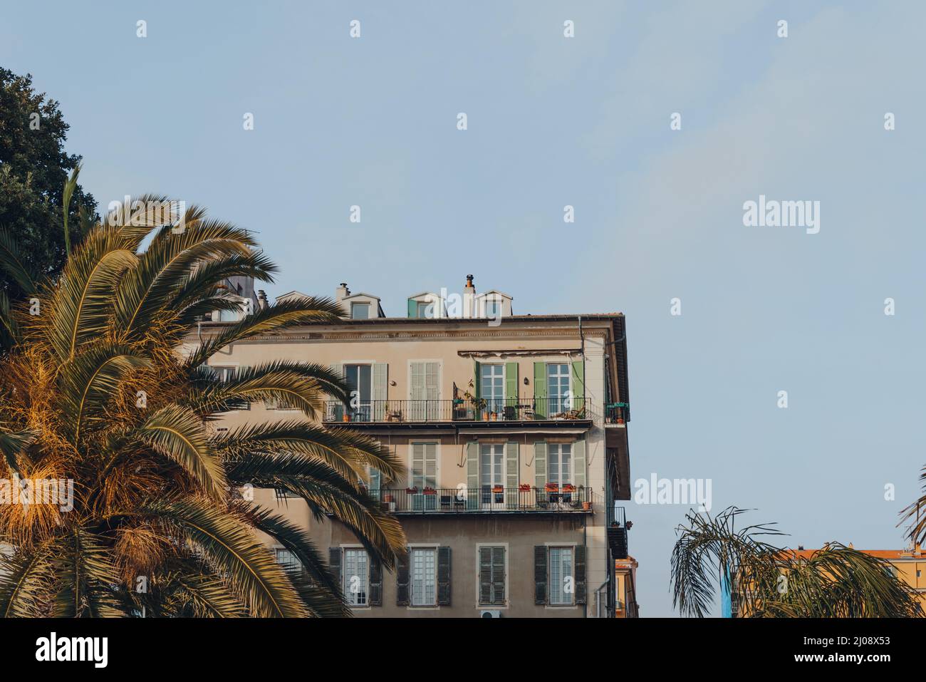 Vue à angle bas d'un immeuble résidentiel à Nice, France, palmier en face. Banque D'Images