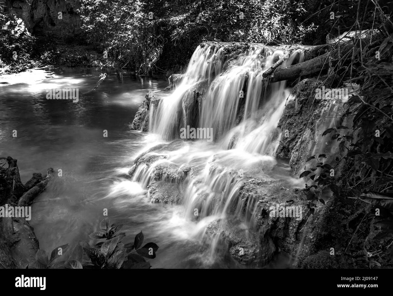 Cascade dans la nature. Cascade de montagne en cascade. Noir et blanc Banque D'Images