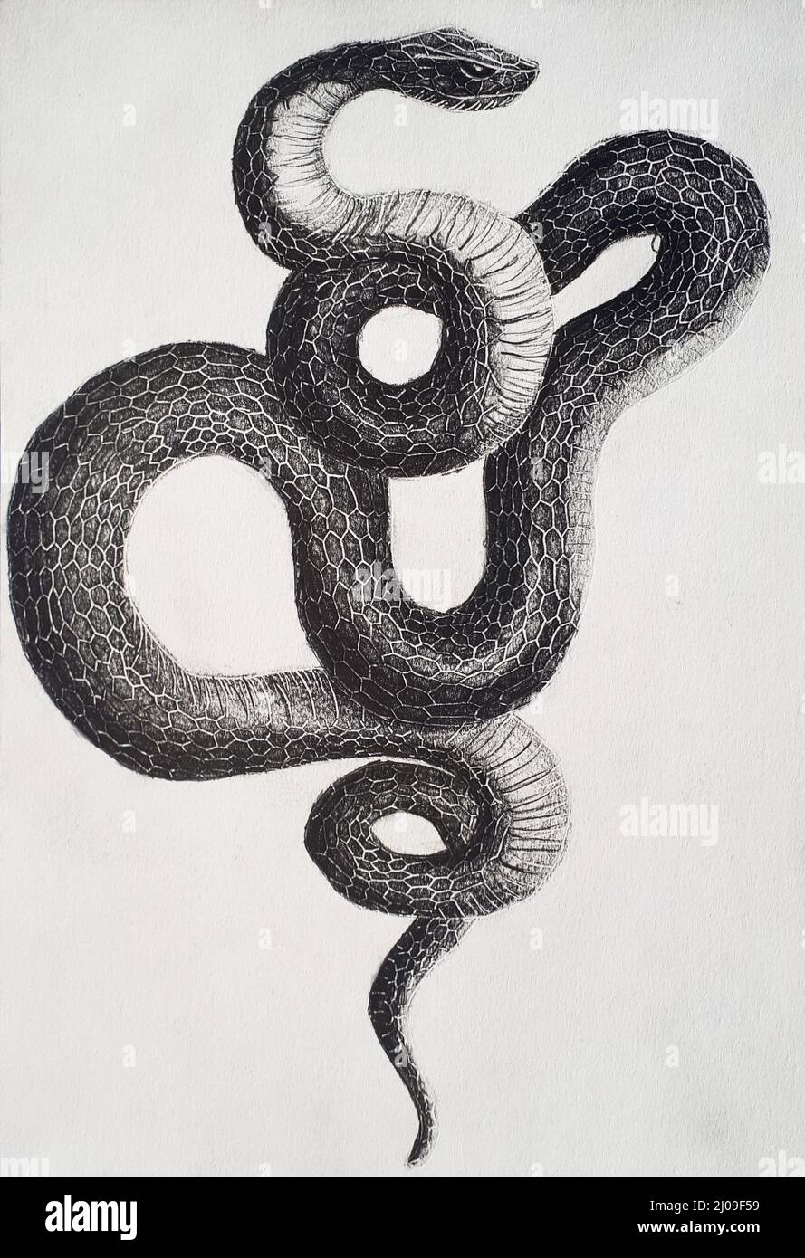 Arrière-plan d'un serpent de formes circulaires en noir et blanc Banque D'Images
