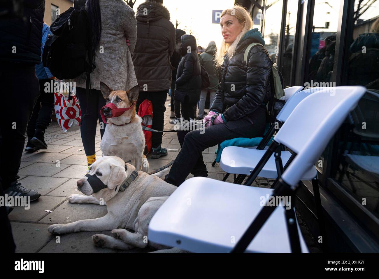 Stockholm, Suède. 17th mars 2022. Les réfugiés ukrainiens visitent le bureau de l'Agence suédoise des migrations pour demander un permis de séjour et aider à se rendre quelque part pour vivre. Plusieurs organismes de bienfaisance offrant de la nourriture, des vêtements et des articles d'hygiène sont sur place. (Credit image: © Joel Lindhe/ZUMA Press Wire) Credit: ZUMA Press, Inc./Alamy Live News Banque D'Images