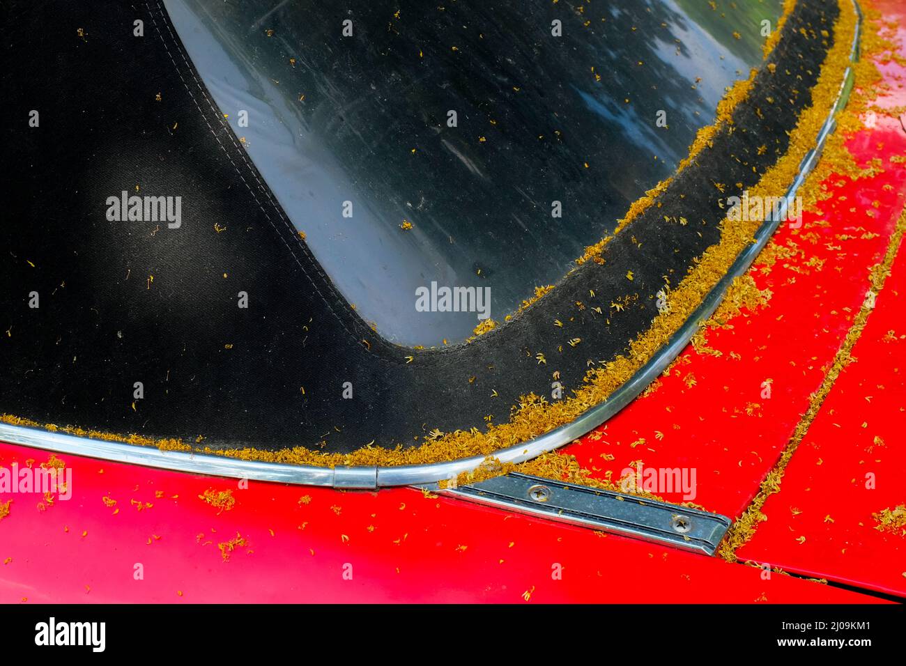 Détails d'une voiture d'époque en automne Banque D'Images