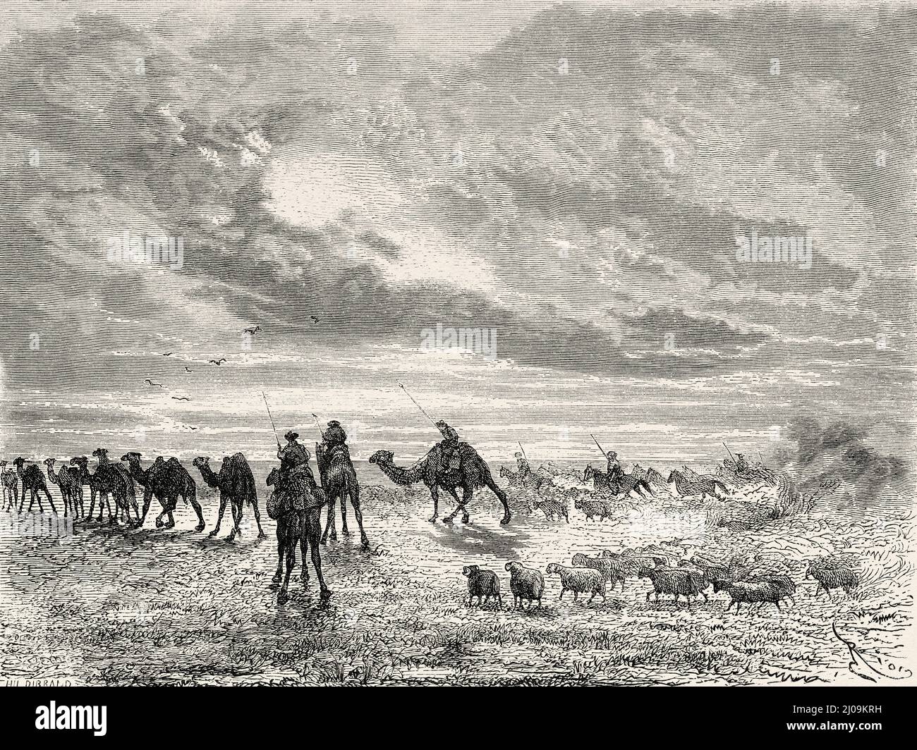Troupeaux d'animaux dans le désert de Gobi, Mongolie. Asie. Voyage en Mongolie par Nikolai Mijailovich Przewalski en 1870-1873, le Tour du monde 1877 Banque D'Images