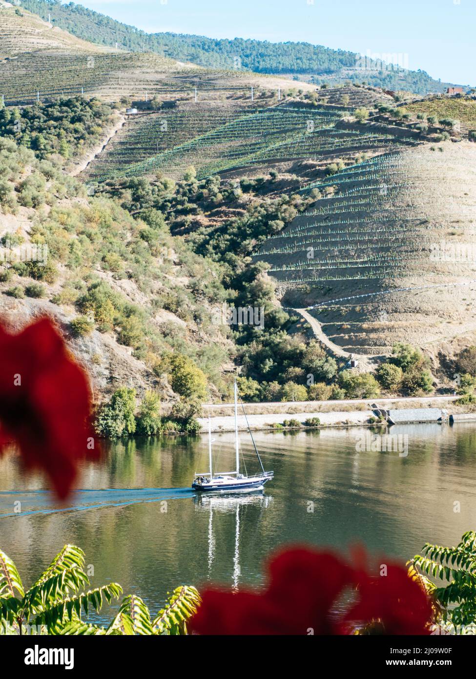 Voilier sur le fleuve Douro dans la région viticole du Portugal Banque D'Images