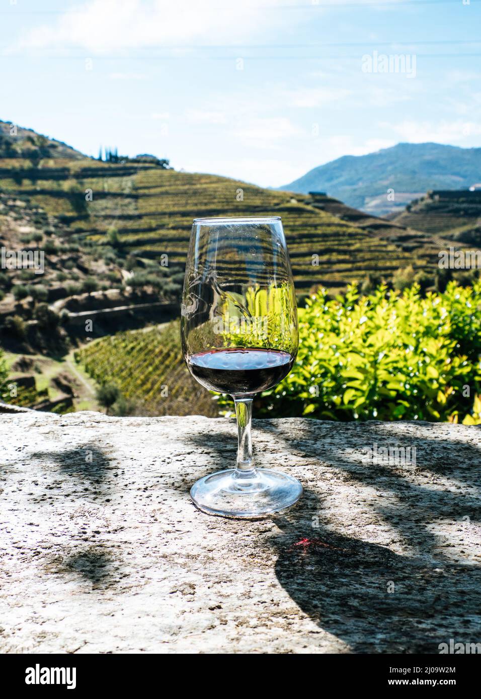 Verre de vin Ruby Port sur un mur de pierre dans un vignoble, vallée du Douro au Portugal Banque D'Images