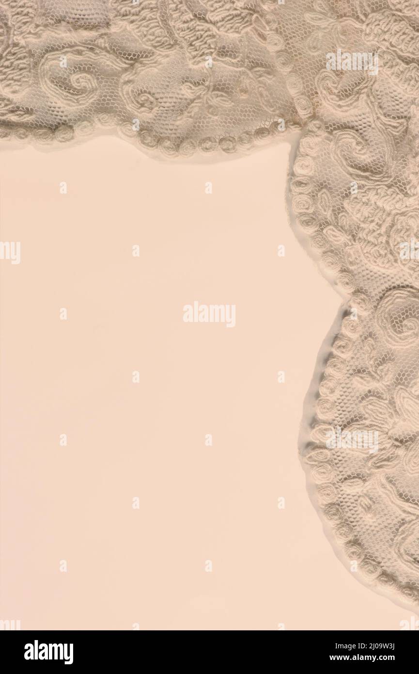 Espace pour votre message texte avec des bords en dentelle sur le côté et le dessus. La dentelle est un gros plan de veiling antique de Madère. Idéal pour un mariage ou un engagement. Banque D'Images