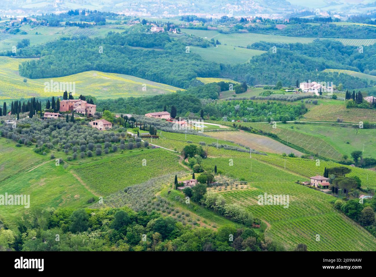 Village et vignoble, San Gimignano, province de Sienne, région Toscane, Italie Banque D'Images