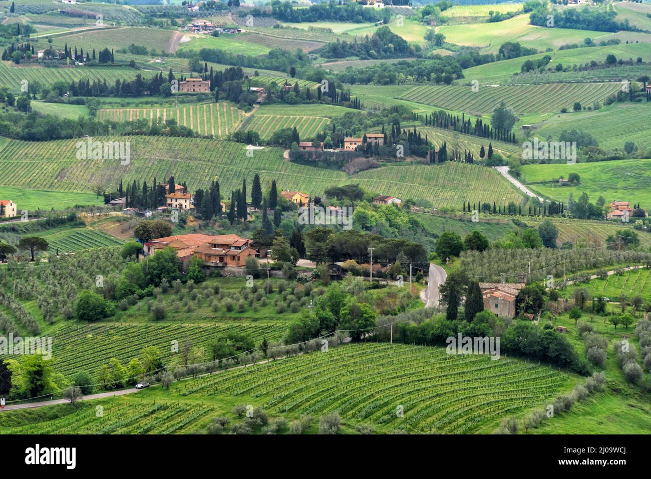 Village et vignoble, San Gimignano, province de Sienne, région Toscane, Italie Banque D'Images