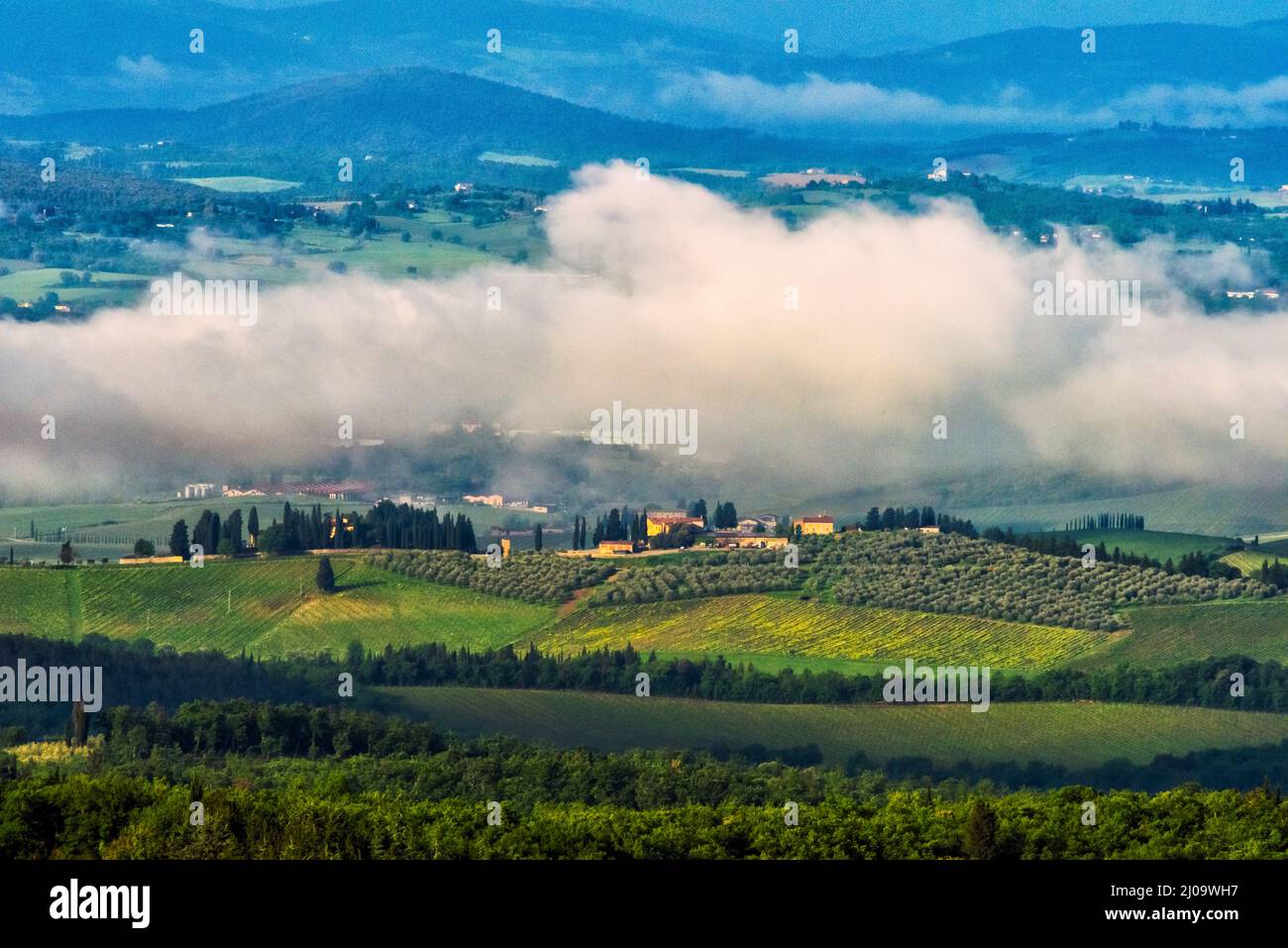 Village avec vignoble dans la brume matinale, Chianti, région Toscane, Italie Banque D'Images