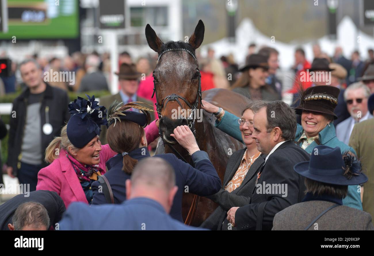 Jour 1 du Festival de Cheltenham à l'hippodrome de Cheltenham. 2,10 chasse au chatoiement. Edwardstone, vainqueur de la course, est monté par Tom Cannon Photo de Mikal Banque D'Images