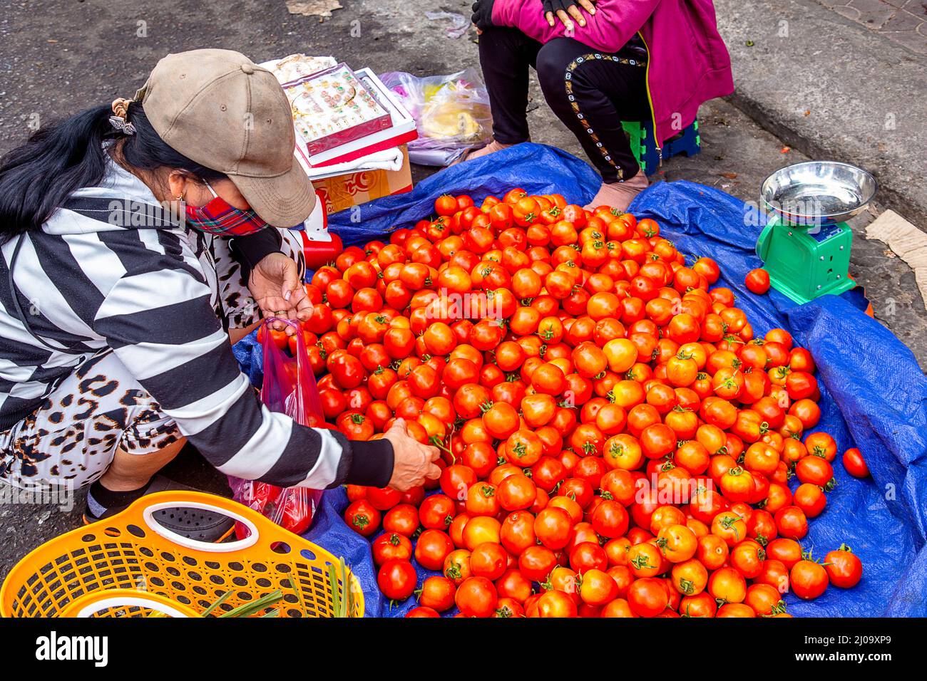 Une dame vietnamienne trie par son tas de tomates sur le marché de Quy Nhon. Banque D'Images