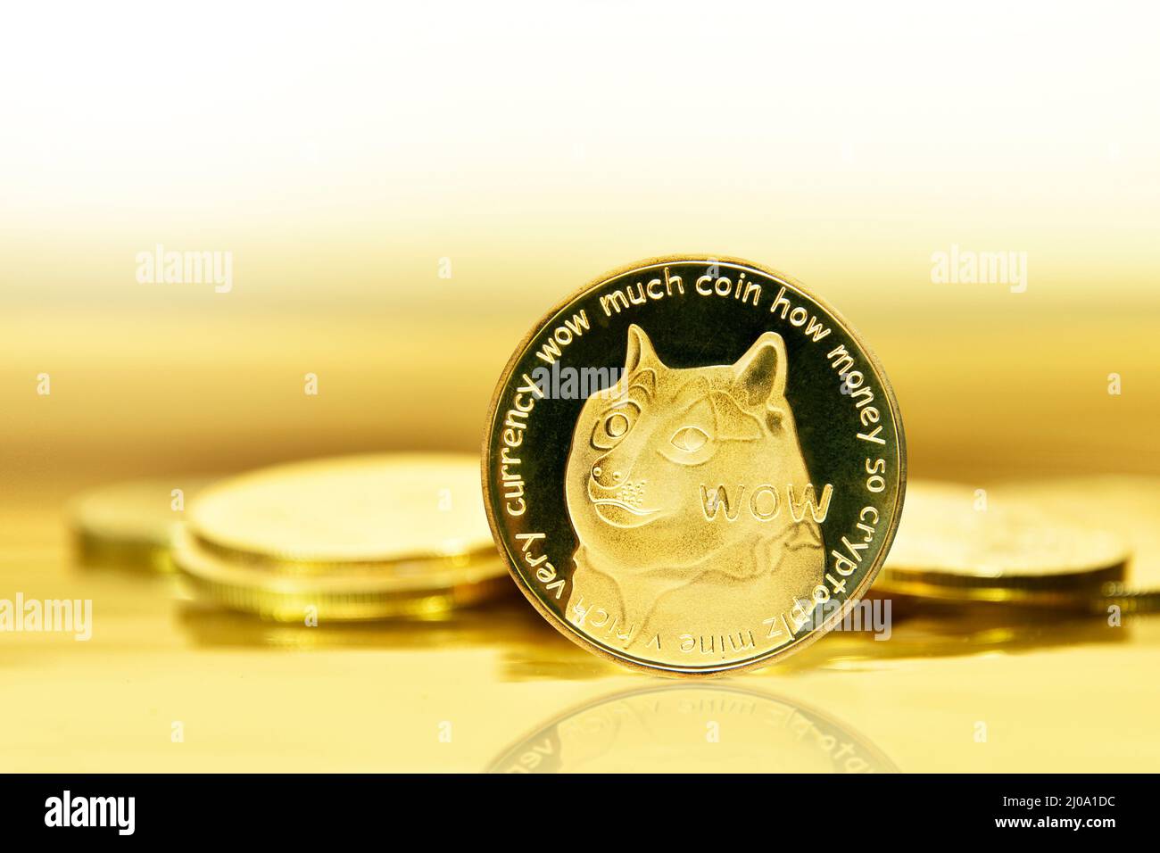 Crypto-monnaie DOGECOIN DOGE isolée sur fond blanc, face du chien Shiba Inu sur pièce, devise numérique Symbol Banque D'Images