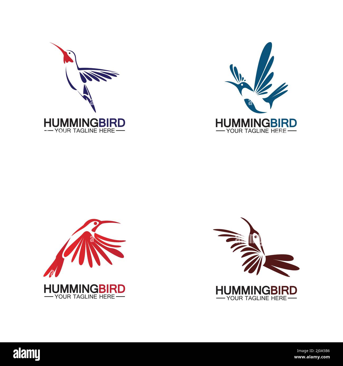 Modèle vectoriel avec logo Hummingbird Illustration de Vecteur