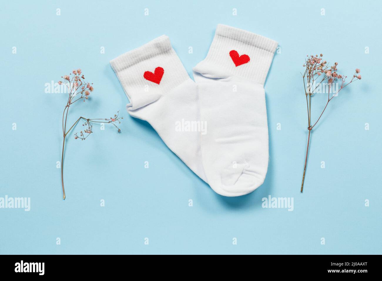 Paire de chaussettes blanches pour femmes et branches décoratives sur fond bleu, vue du dessus. Banque D'Images
