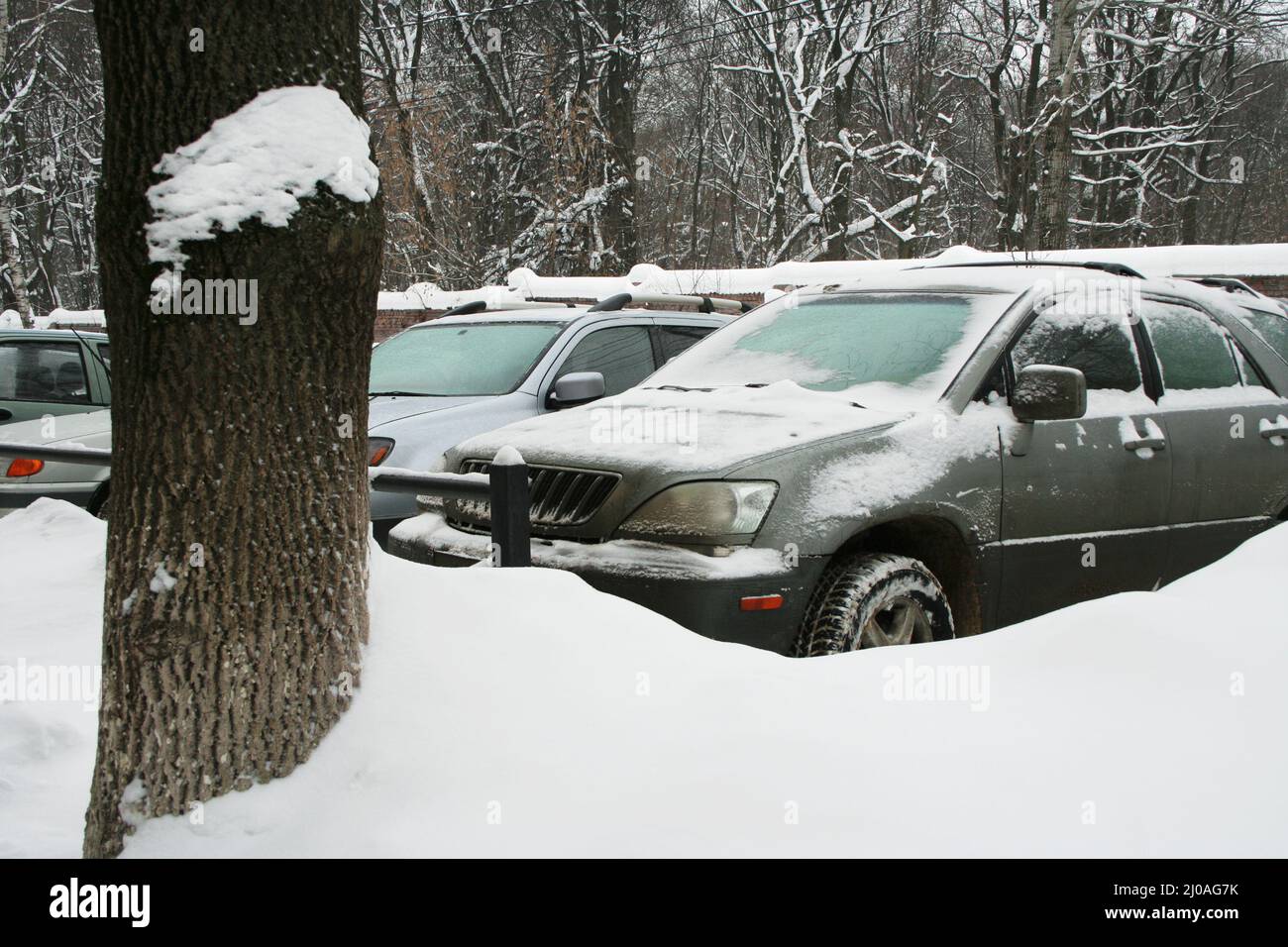 Voitures en hiver Banque D'Images