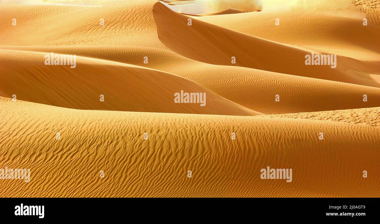 Dunes de sable ondulées dans le désert du Sahara Banque D'Images