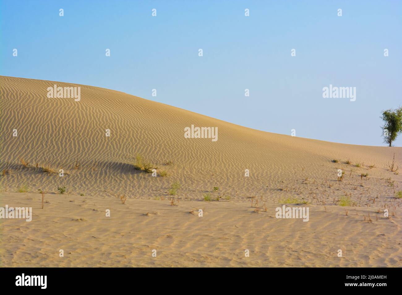 Sécheresse dans le désert de Thar Banque D'Images