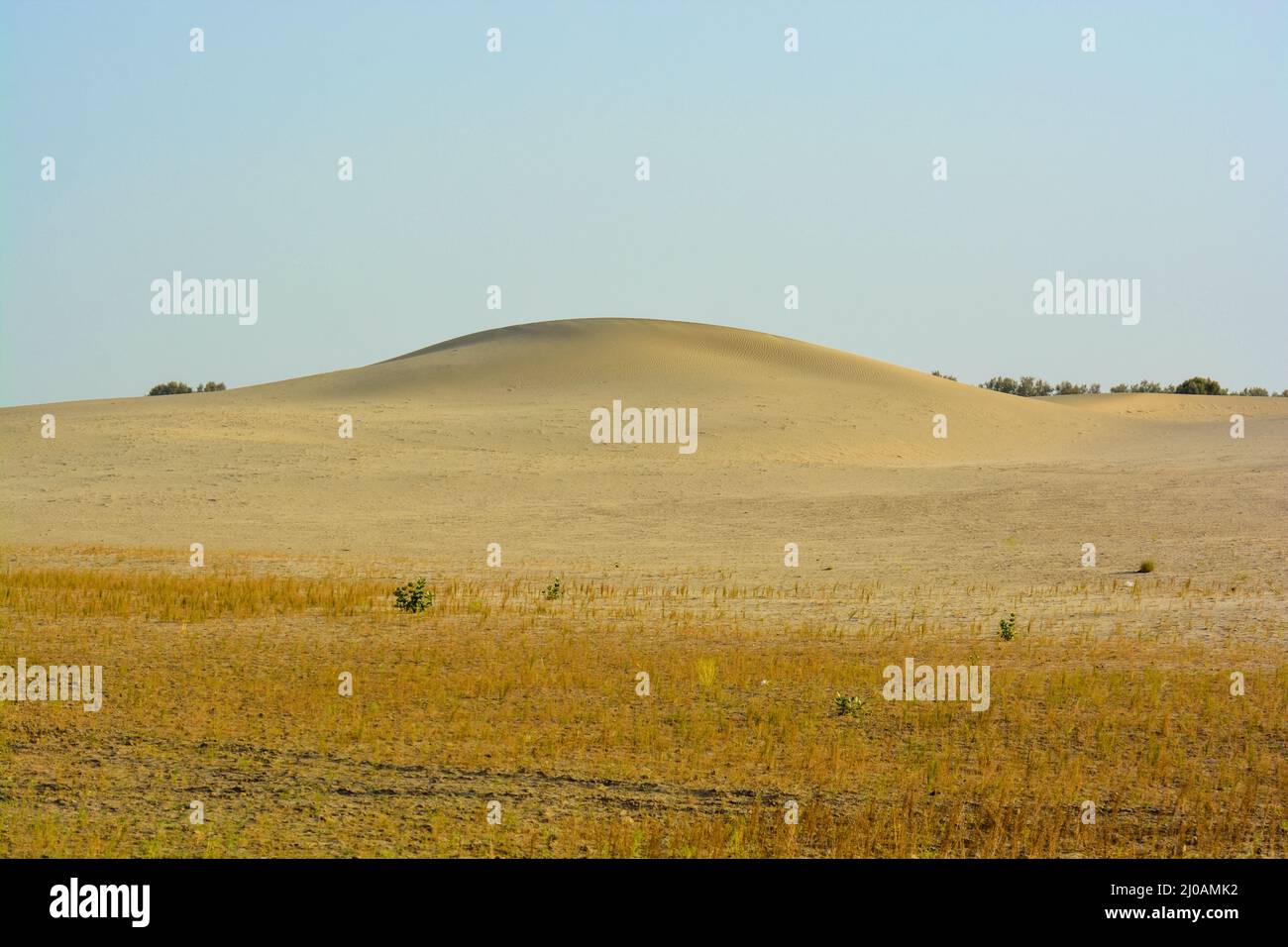 Dunes de sable du désert du Thar Banque D'Images