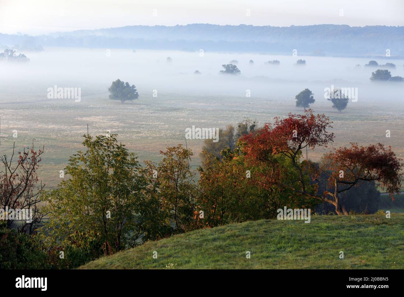 Lever du soleil, vallée de l'Oder à Stolpe, Brandebourg, DE Banque D'Images