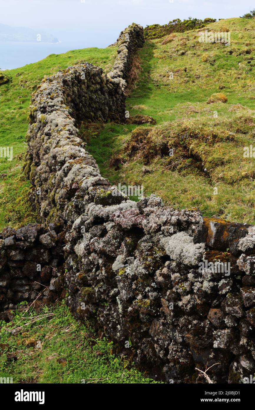 Mur sec de pierre de basalte sur l'île de Pico, Açores Banque D'Images