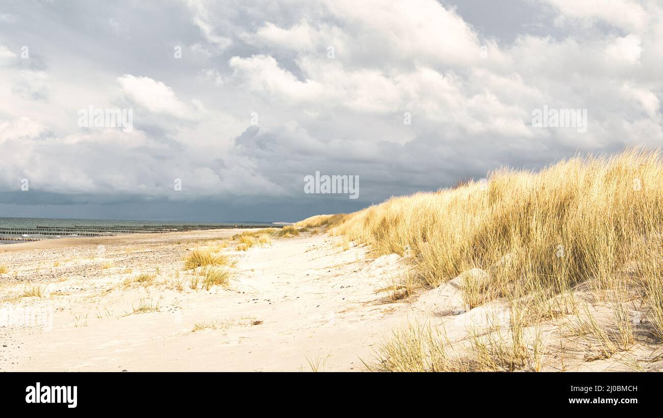 sur la plage de la mer baltique avec nuages, dunes et plage.Randonnée en automne. Paysage super pour des vacances Banque D'Images