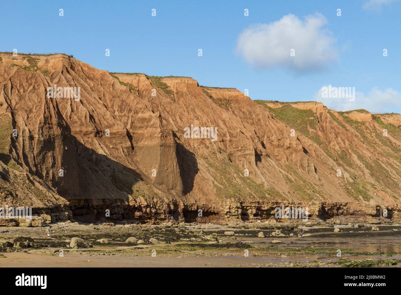 Les superbes falaises de Filey Brigg, Filey, North Yorkshire, Royaume-Uni. Banque D'Images