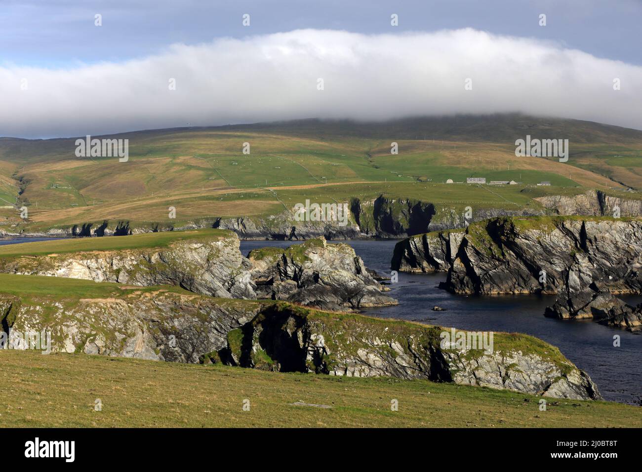 Côte de falaise du sud du continent, îles Shetland, Écosse Banque D'Images