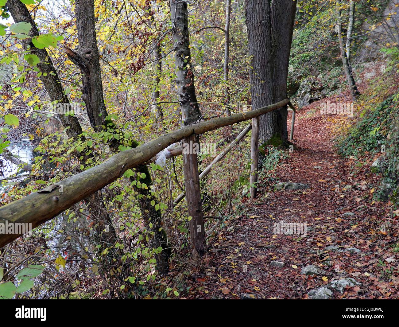 Sentier forestier en automne, Jura souabe, Allemagne Banque D'Images
