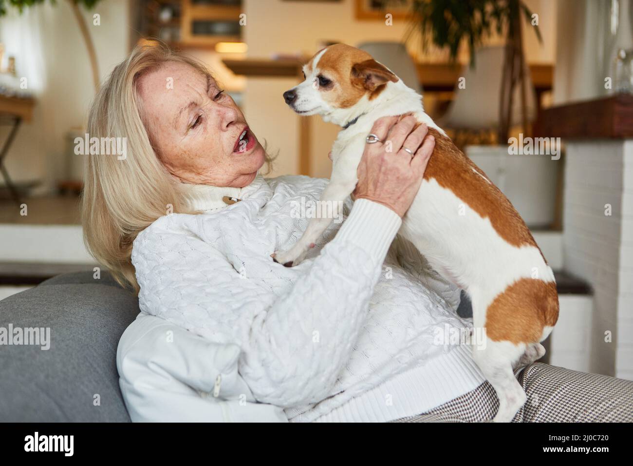 Une vieille femme assise à la maison dans le salon avec son petit chien sur ses genoux contre la solitude Banque D'Images